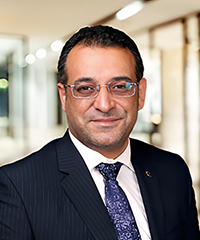 Hamed Taherdoost 